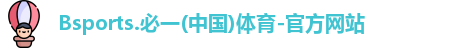 B体育官网